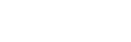Koszulka Bazinga