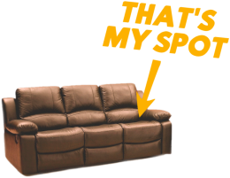 Koszulka That's my spot - Teoria wielkiego podrywu