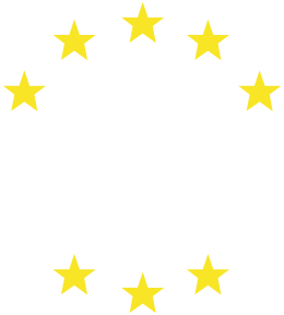 Unia Europejska osiem gwiazdek koszulka damska