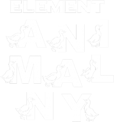 Element animalny koszulka 2