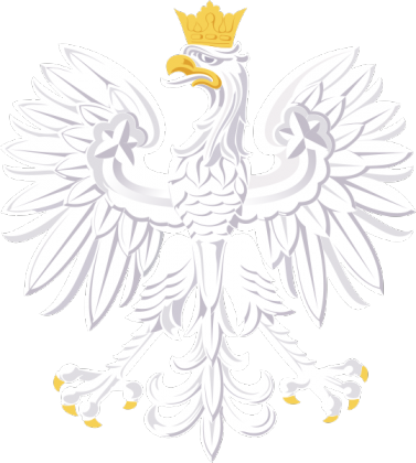 BLUZA ORZEŁ BIAŁY