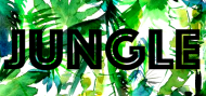 Jungle-2