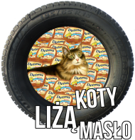 KOTY LIŻĄ MASŁO
