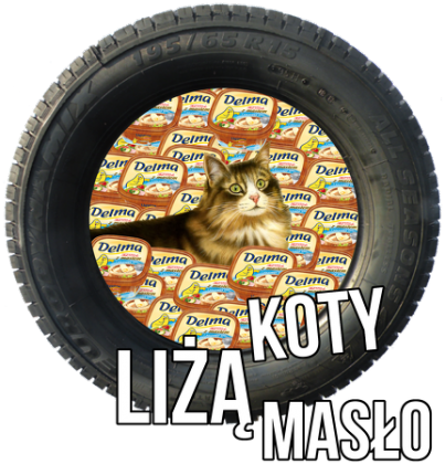 KOTY LIŻĄ MASŁO