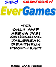Koszulka Evergames.
