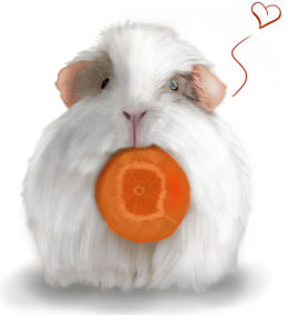 Kubek biały White Guinea Pig