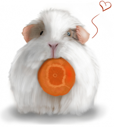 Kubek biały White Guinea Pig