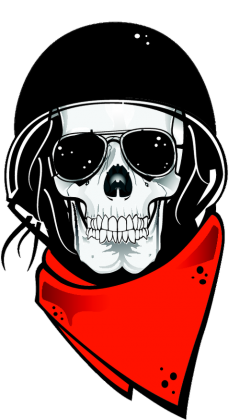SKULL SERIES6