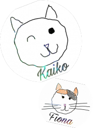 Wsparcie dla Kaiko