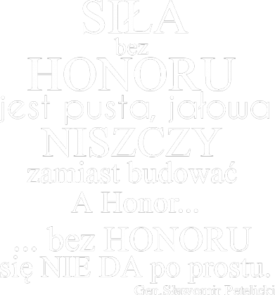 Siła bez honoru... bluza męska