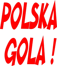 Koszulka "Polska gola!"