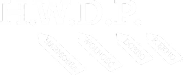 HWDP (t-shirt) jasna grafika