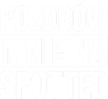 Pozdrów mnie na Spotted (bluzka damska) jasna grafika