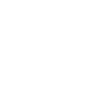 Essen Motor Show 2016 v2 małe (bluzka damska) jasna grafika