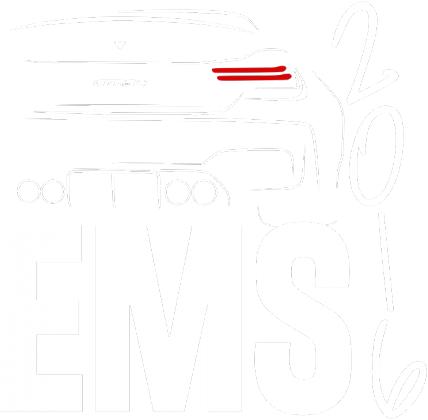 GTRS4 EMS 2016 (t-shirt) jasna grafika