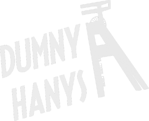 Dumny Hanys (bluza) jasna grafika