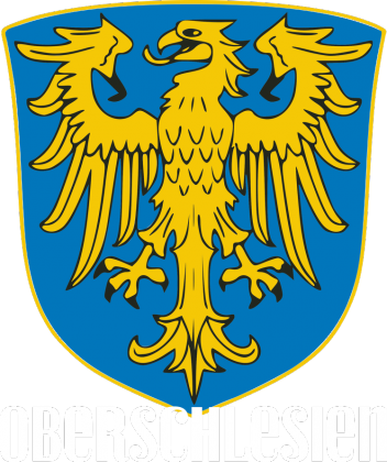 Oberschlesien (bluza) jasna grafika