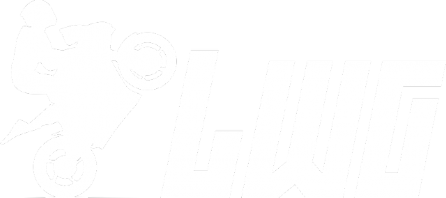 Lwg (koszulka męska) jg