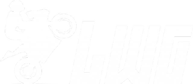 Lwg (bluzka damska) jg
