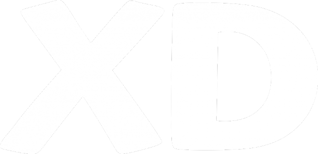 XD (bluza chłopięca kaptur) jg