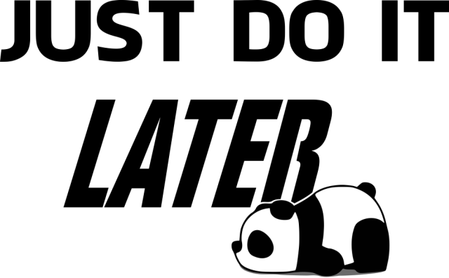 Just do it LATER - Panda (bluza damska klasyczna) cg