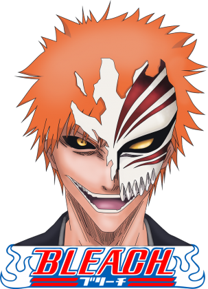 Bleach Ichigo anime manga
