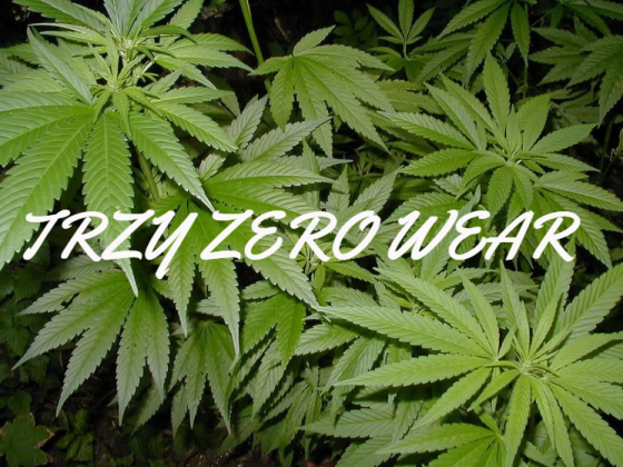 Bluza trzy zero ganja weed