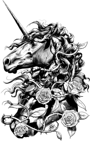 Czarny Jednorożec - bluza unisex