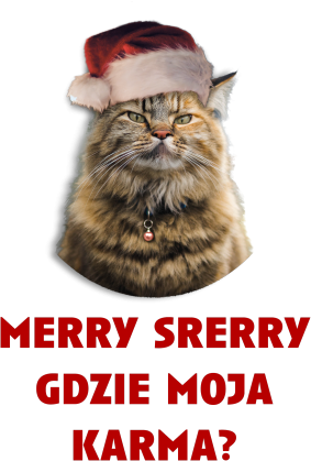 kot, grumpy cat, święta, prezent, merry srerry