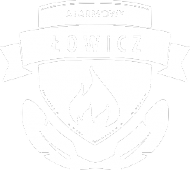 ALARMOWY ŁOWICZ 1 /Biały wzór