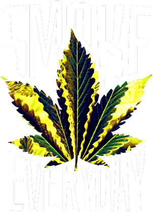 BNGO SMOKE WEED EVERYDAY