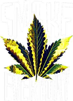 BNGO SMOKE WEED EVERYDAY