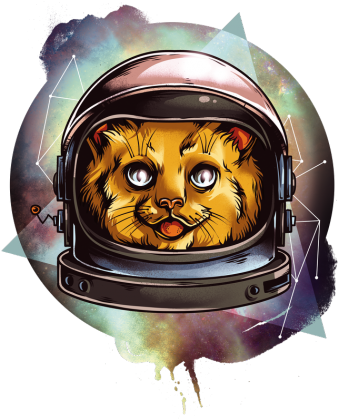 Kot w kosmosie