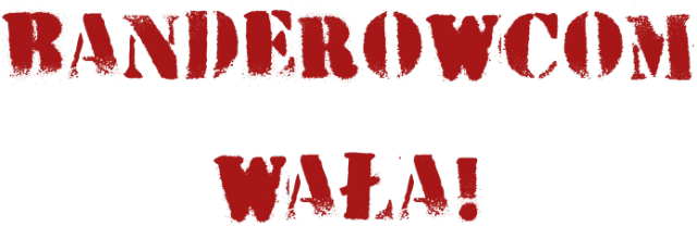 Koszulka WAŁA BANDEROWCOM