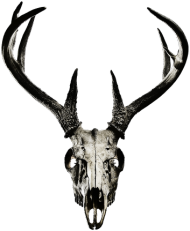 Hoodie #1 - deer skull vol. 2