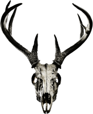 Hoodie #2 - deer skull vol. 4