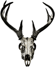 Hoodie #2 - deer skull vol. 2