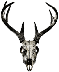 Big bag - deer skull