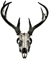 Small bag - deer skull