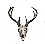 T-shirt - deer skull vol. 3