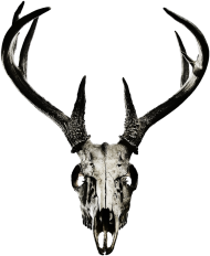 Sweatshirt - deer skull vol. 4
