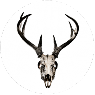 Hoodie #1 - deer skull vol. 3