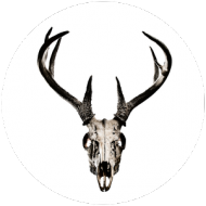 Hoodie #2 - deer skull vol. 3