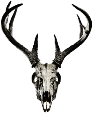 Hoodie #3 - deer skull vol. 2