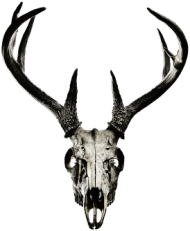 Hoodie - deer skull vol. 2