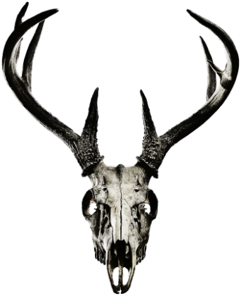 Sweatshirt - deer skull vol. 2