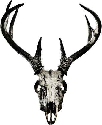 V-neck - deer skull vol. 4