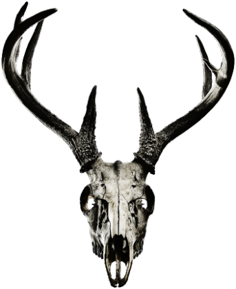 Sleeveless - deer skull vol. 2