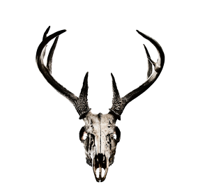 Sleeveless - deer skull vol. 3
