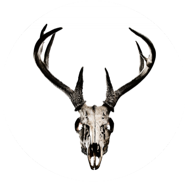 V-neck - deer skull vol. 3